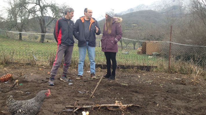 Aquí la Tierra - Del huevo al frisuelo