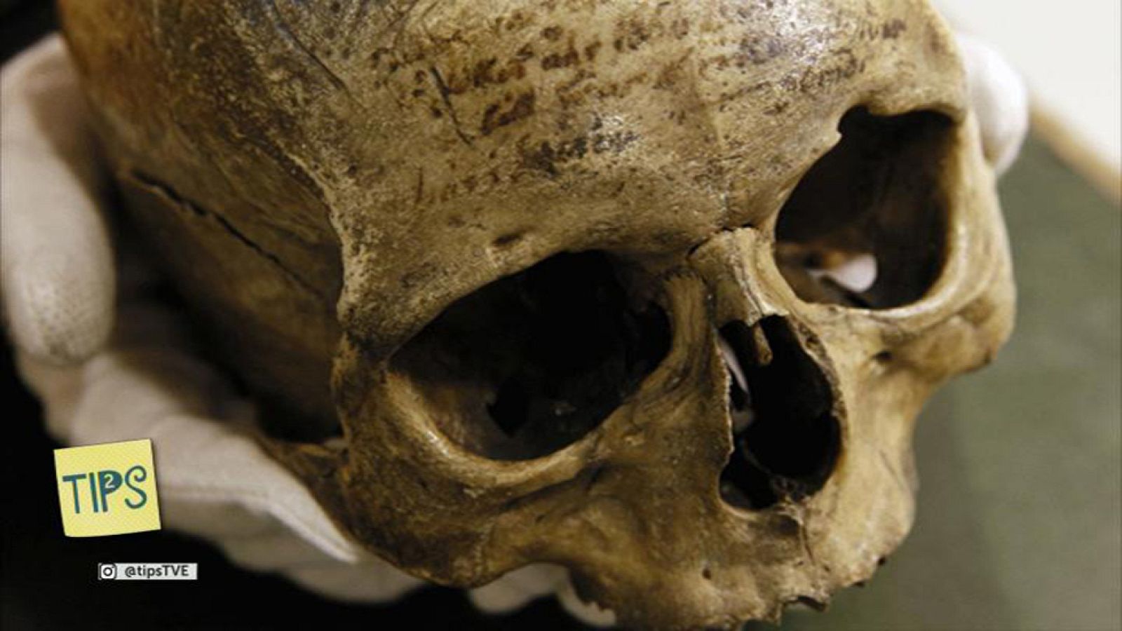 TIPS - La taza de Einstein - Reliquias científicas