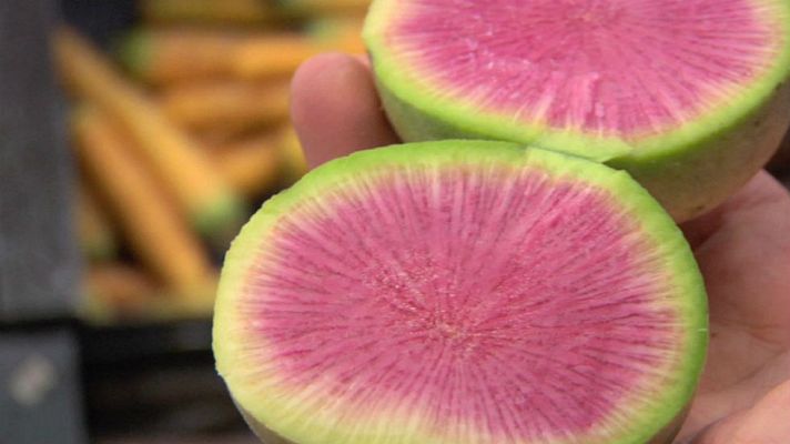 Aquí la Tierra - Tubérculos nunca vistos