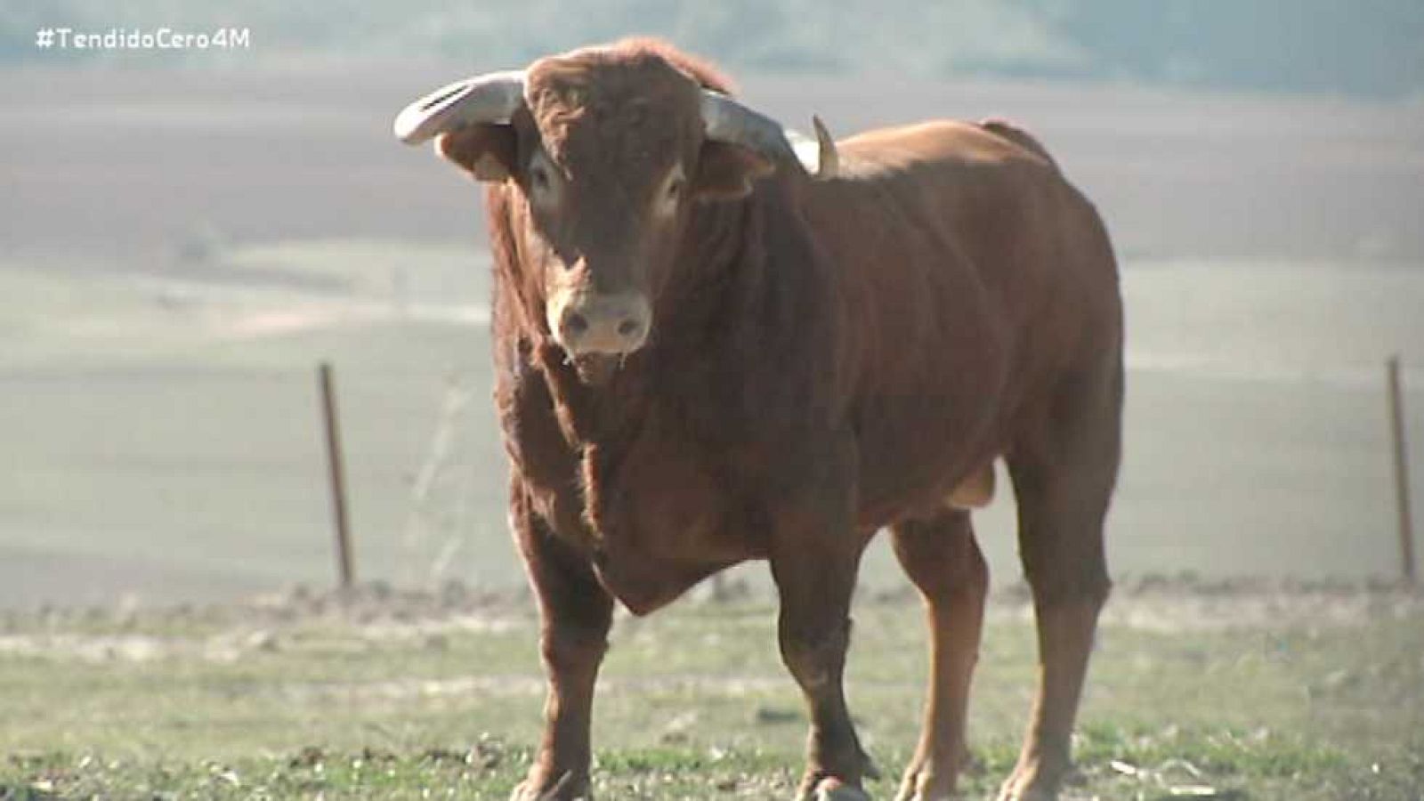 Tendido Cero - 04/03/17 - ver ahora