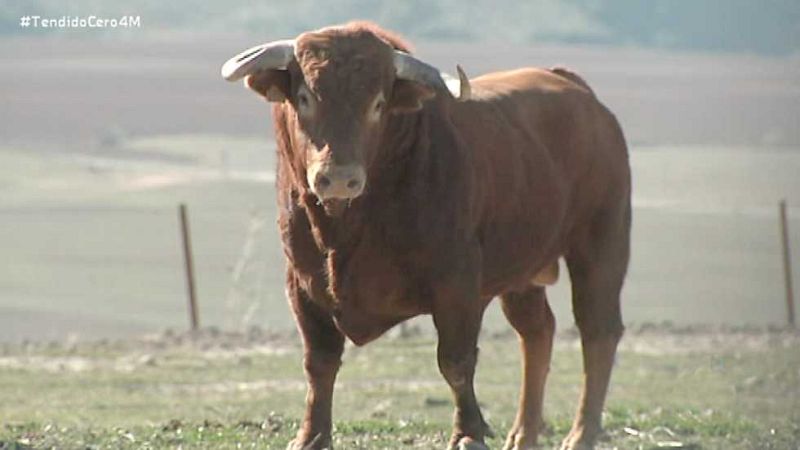 Tendido Cero - 04/03/17 - ver ahora