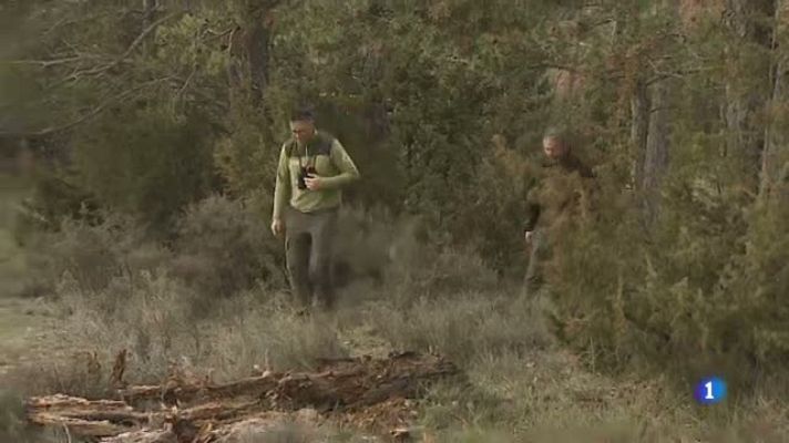 L'Informatiu - Us expliquem què és el projecte "BCN Smart Rural"