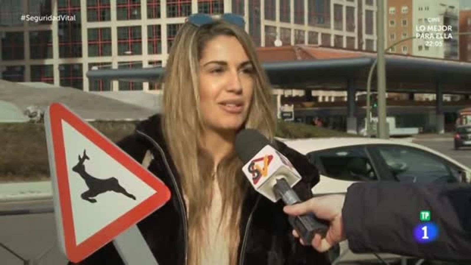 'Señal' - Peligro paso animales en libertad