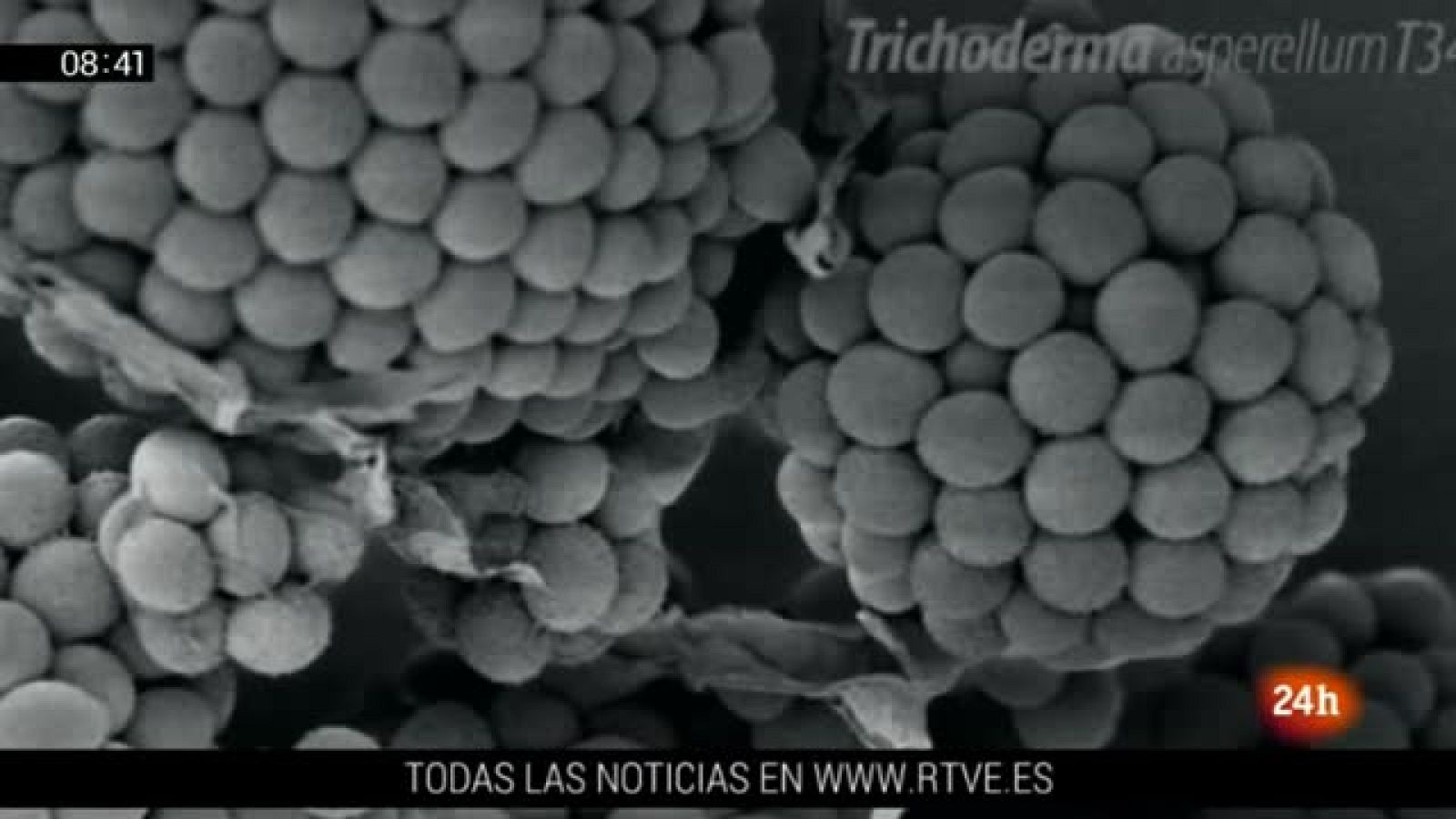 Mujeres, empresarias, innovadoras, españolas