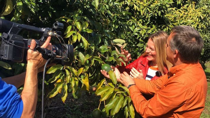 Aquí la Tierra - Frutas exóticas en nuestros campos