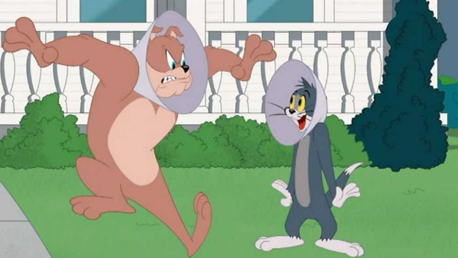 Cara de embudo - Tom y Jerry | Ver