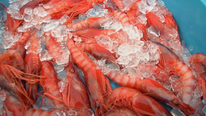 Aquí la Tierra - Aquí la Tierra - 06/03/17