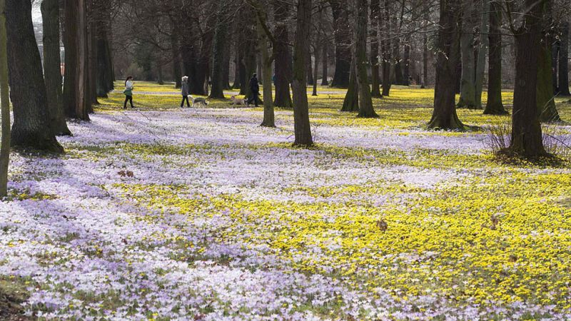 Soleado y ascenso de las temperaturas en casi toda España