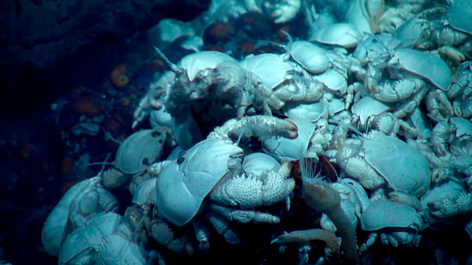 Grandes documentales - Atlántico: Montañas de las profundidades - ver ahora