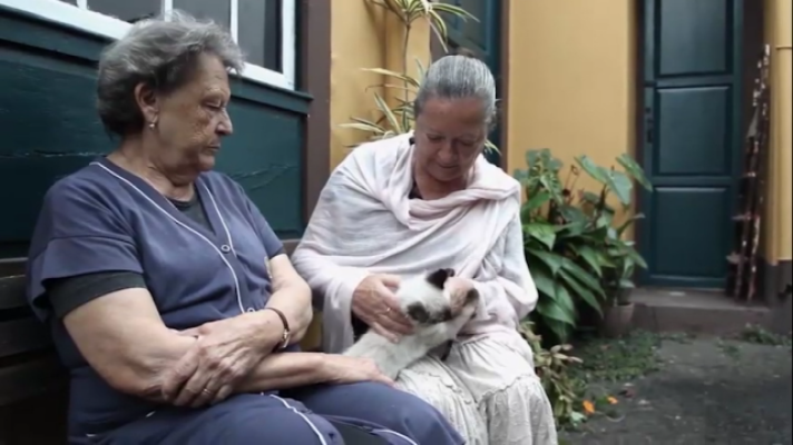  - Inevitable océano