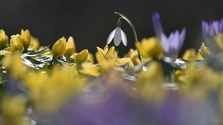 El tiempo - Temperaturas en ascenso en el interior de la Península y Canarias