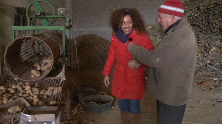 Aquí la Tierra - Patatas ¡en su punto!