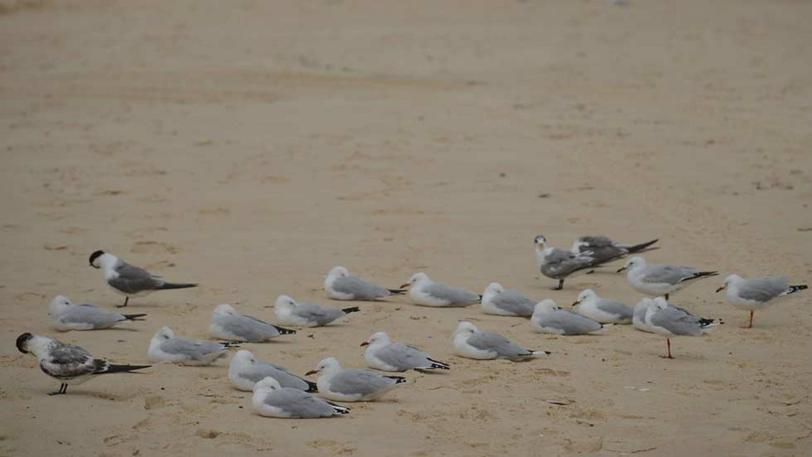 Temperaturas más altas de lo normal, superando los 26 grados en el sur