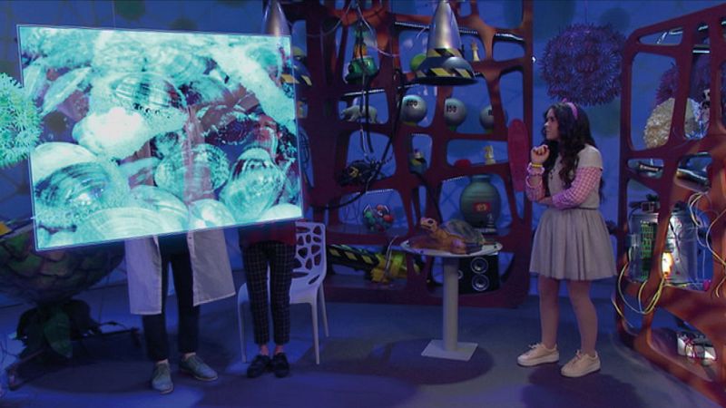 Mes de la Ciencia - Longevidad - Big Band Clan | Ver