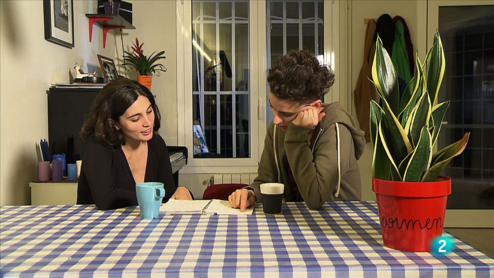 Punts de vista - Clara Peya