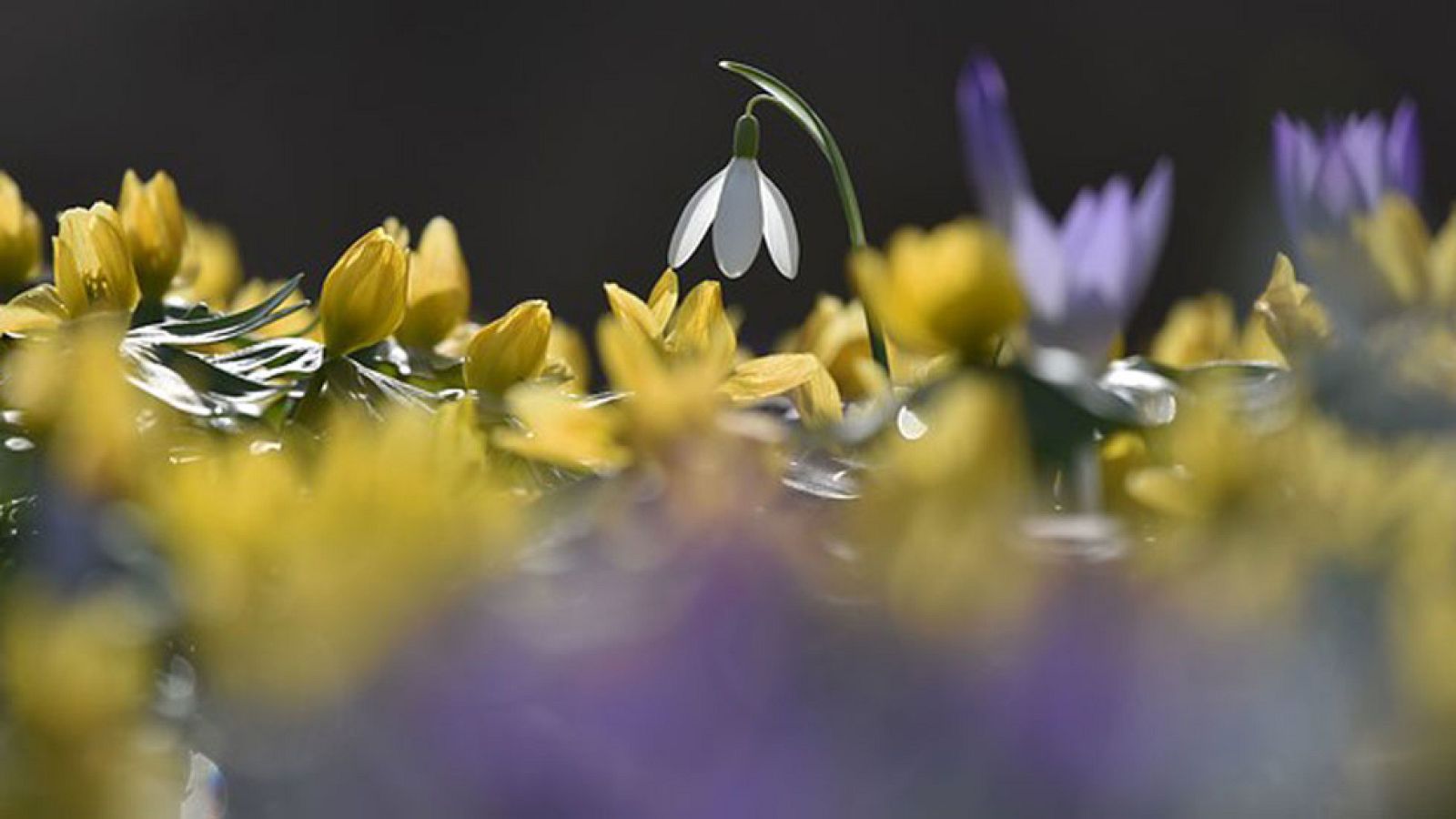 Predominio de tiempo estable y temperaturas altas