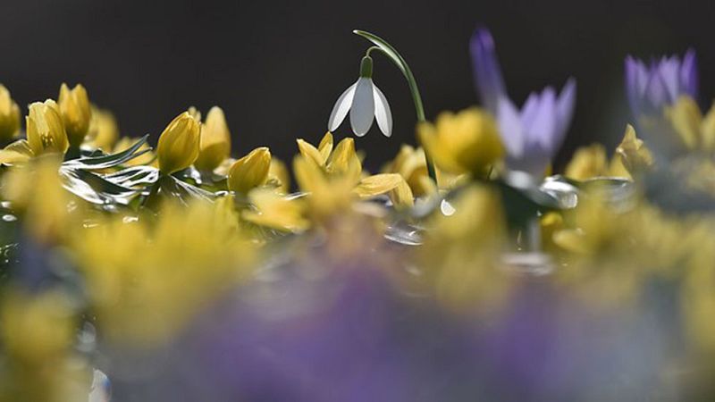 Predominio de tiempo estable y temperaturas altas