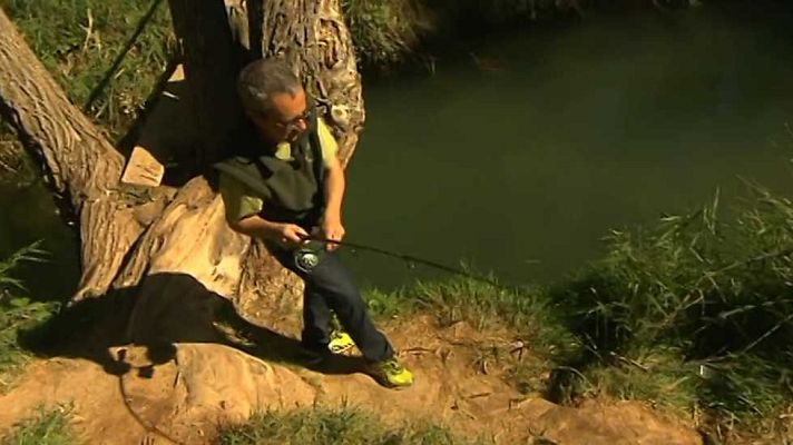 Jara y sedal - Pesca en Masegoso