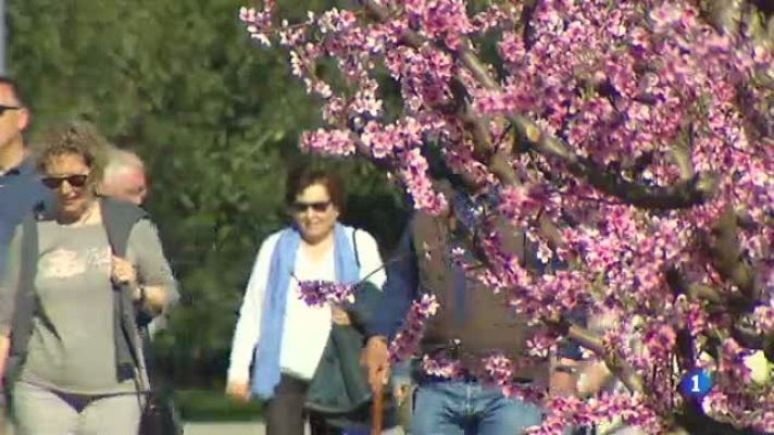 L'Informatiu - Els camps de fruiters de Lleida en plena floració, tota una atracció turística
