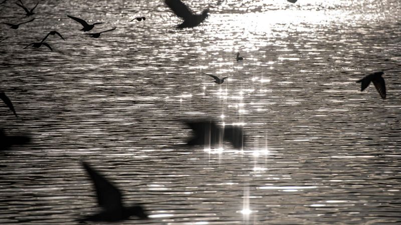 Fin a una semana primaveral