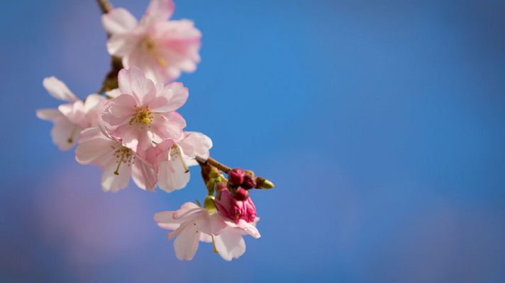 El tiempo - La semana arranca con lluvias en el Cantábrico y Levante y viento en Canarias