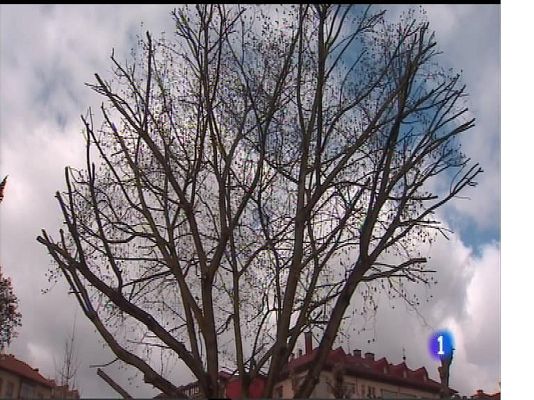 Panorama Regional - El tiempo en Asturias - 13/03/17