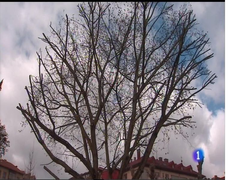 El tiempo en Asturias - 13/03/17 | Ver