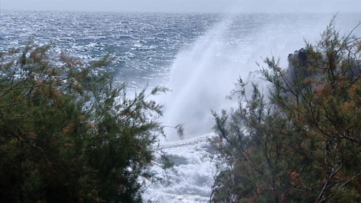 Telecanarias - Telecanarias - 13/03/2017
