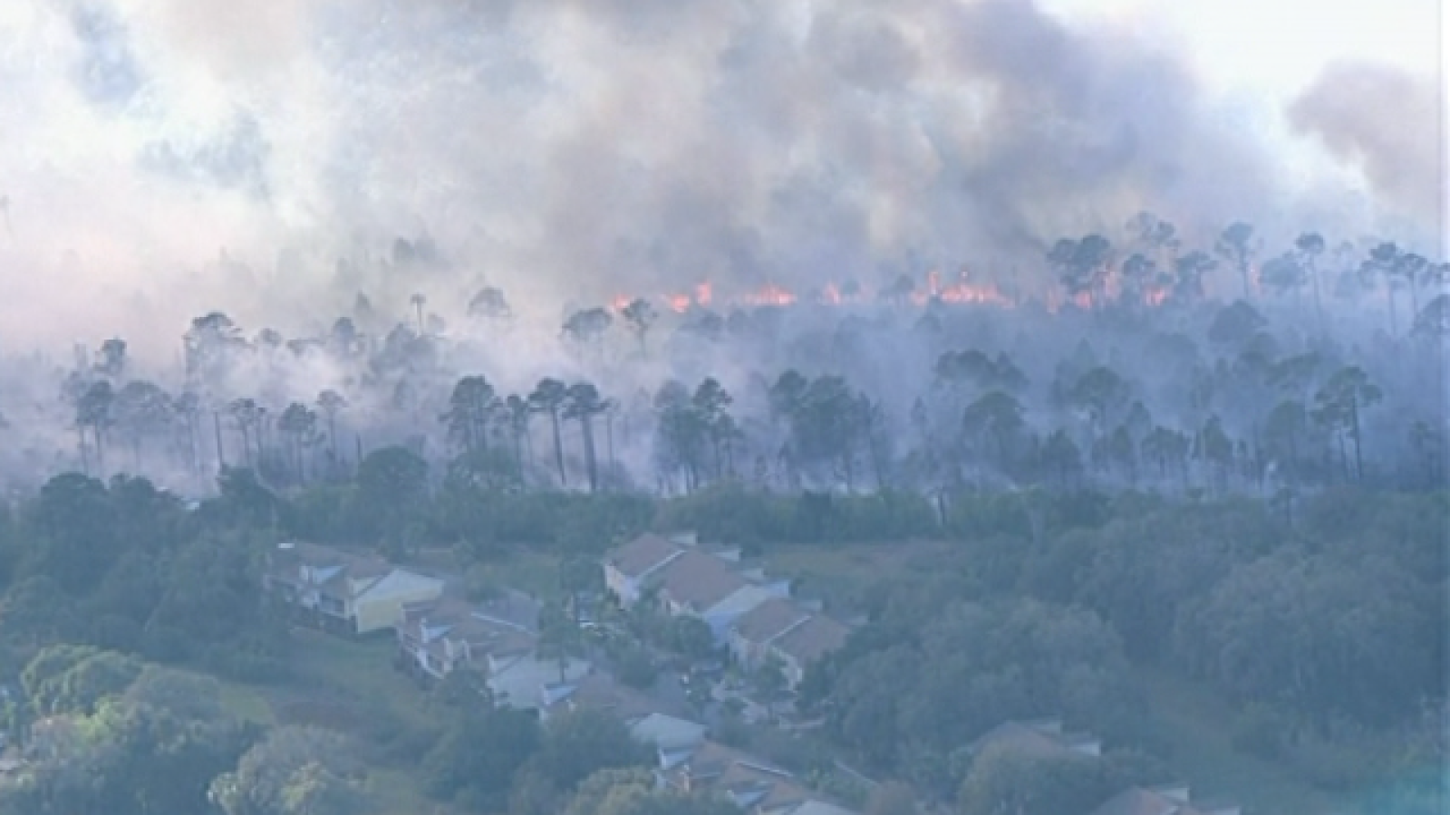 Teleplaneta - 13/03/2017
