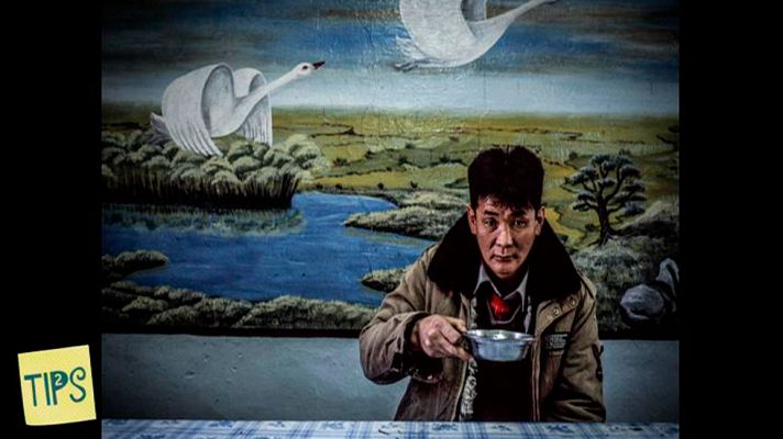 Tips - Fotografía - Mikel Aristregi