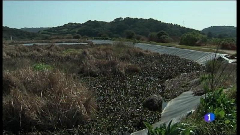 Polèmica pels llots contaminats de Ferreries