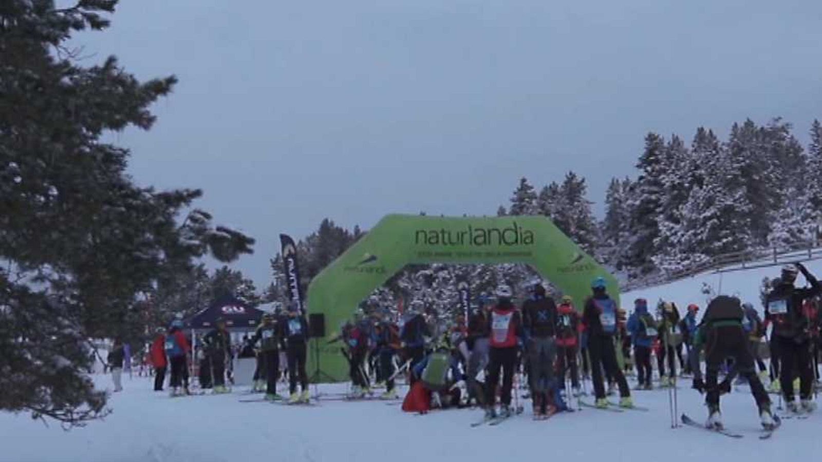 Evasión - T5 - Programa 5 - ver ahora