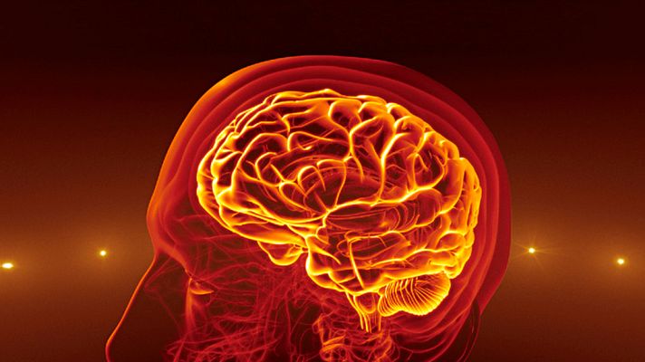 Documenta2 - La vida. El secreto de las células humanas, cap. 2