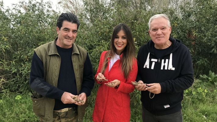 Aquí la Tierra - Sabores de la infancia