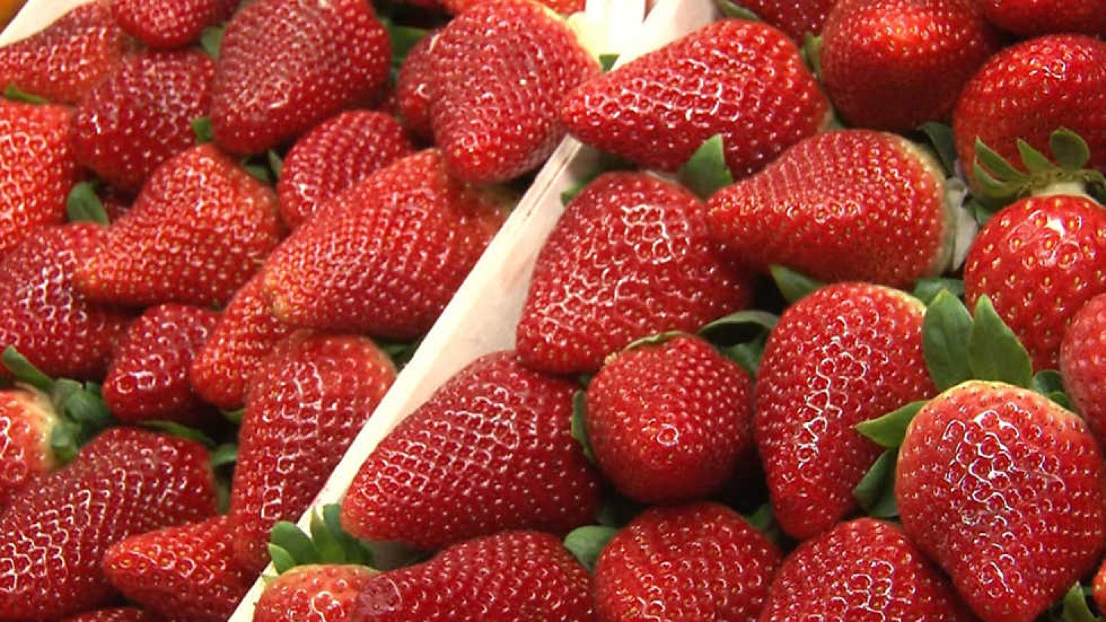 Comando Actualidad - Colores que alimentan - ver ahora