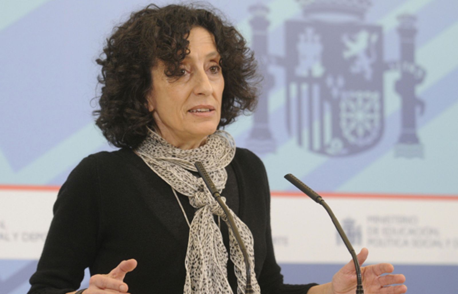 Telediario 1 en cuatro minutos - 29/01/09 | Ver