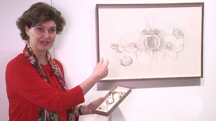 La aventura del Saber - La aventura del saber - 16/03/17