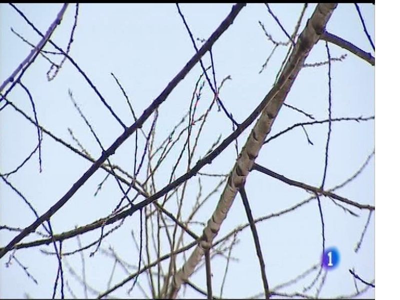 El tiempo en Asturias - 16/03/17 | Ver