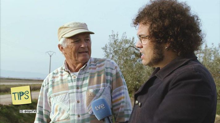 Tips - Poblenou del Delta