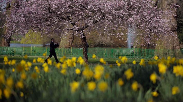 El tiempo - Sol en toda España salvo en Canarias, donde lloverá