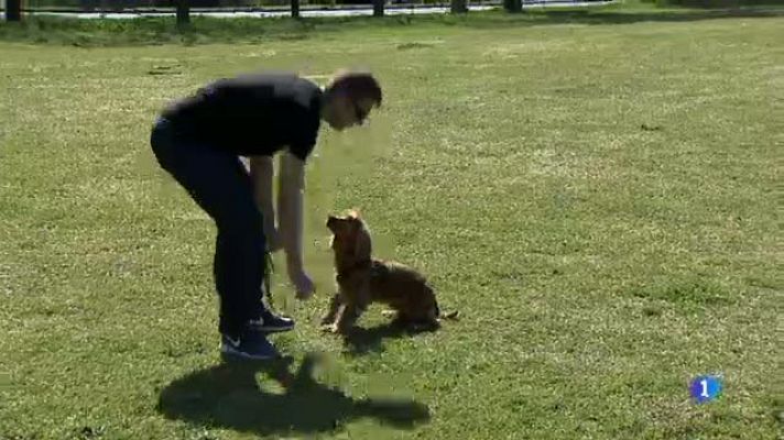 L'Informatiu - La plataforma Cardegos de Cardedeu reclama a l'ajuntament espais per poder deslligar els gossos