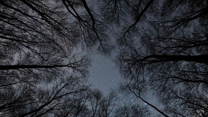 El tiempo - Ascenso de las temperaturas en Canarias