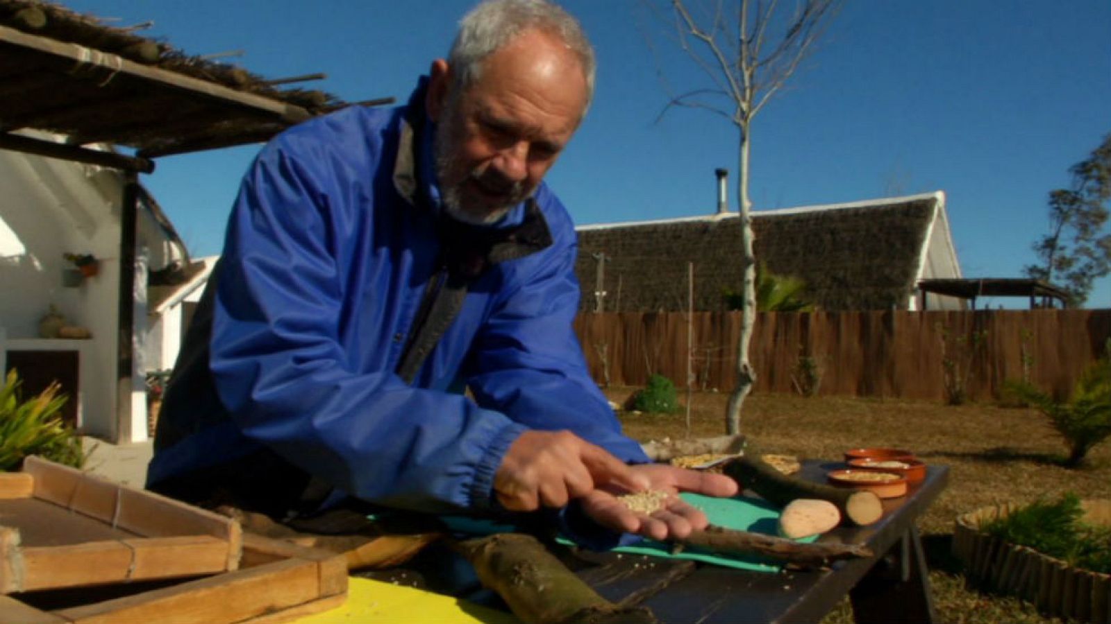 El arroz más caro del mundo