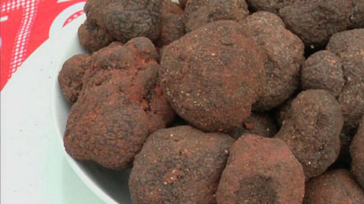 Aquí la Tierra - Cata de trufas