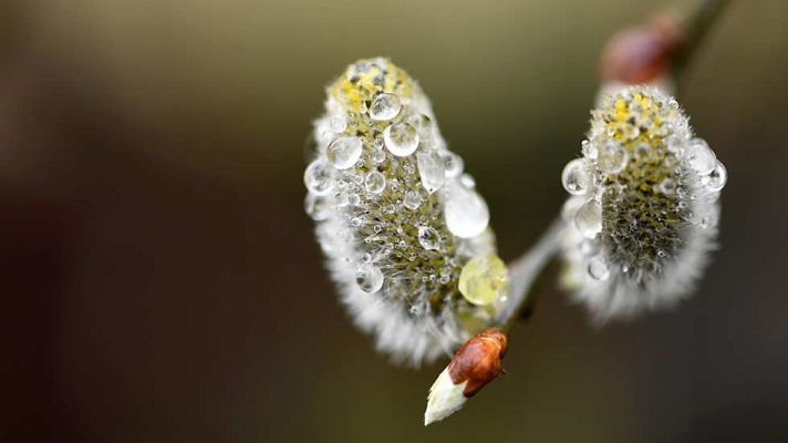 El tiempo - Progresiva bajada de los termómetros a lo largo de la semana