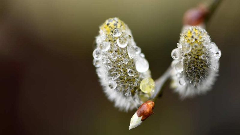 Progresiva bajada de los termómetros a lo largo de la semana