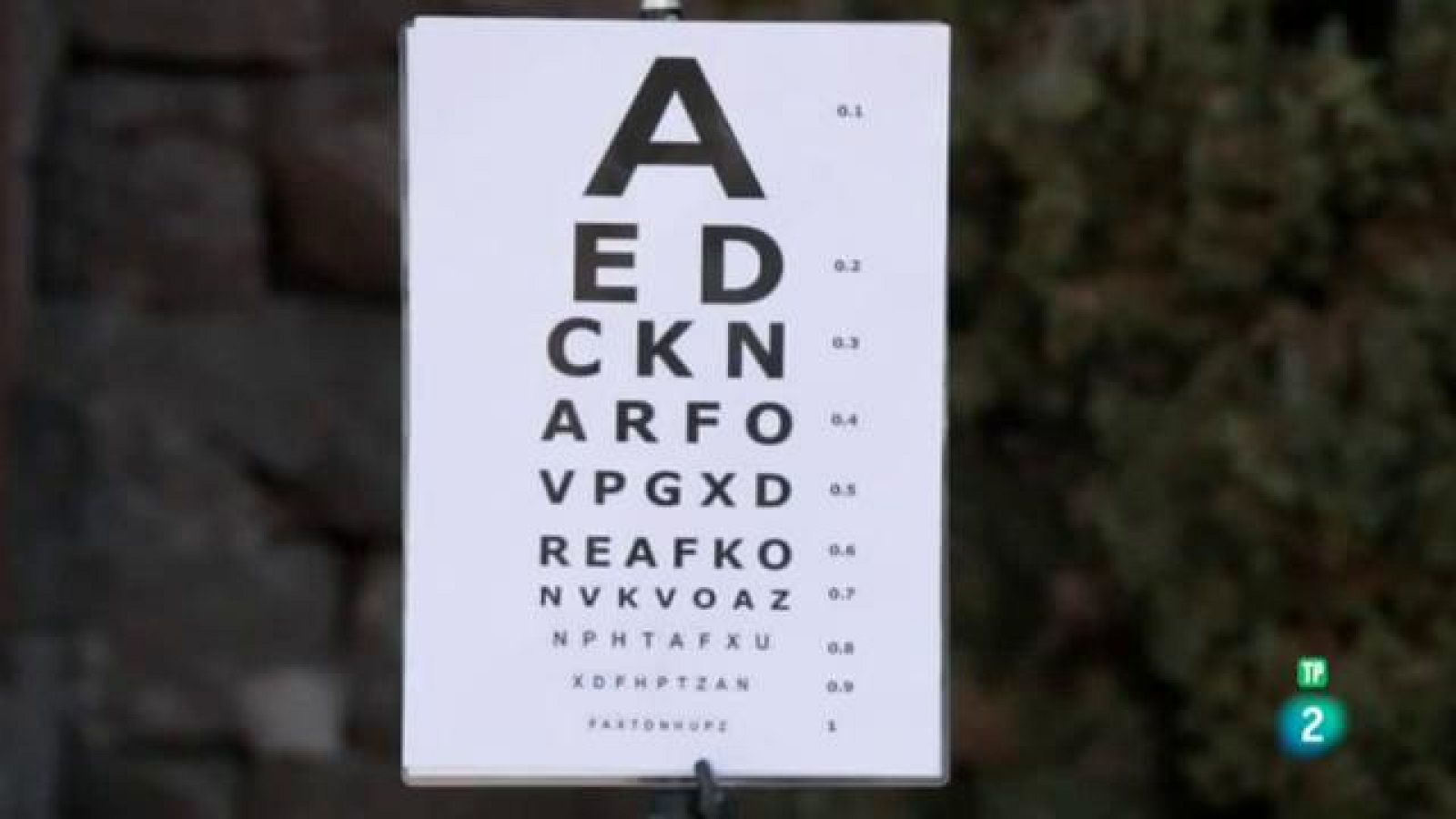 Amb identitat - La vista, el sentit més preuat