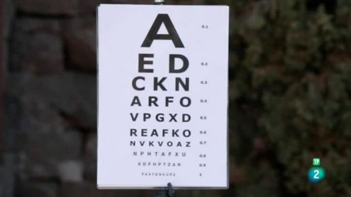 Amb identitat - La vista, el sentit més preuat