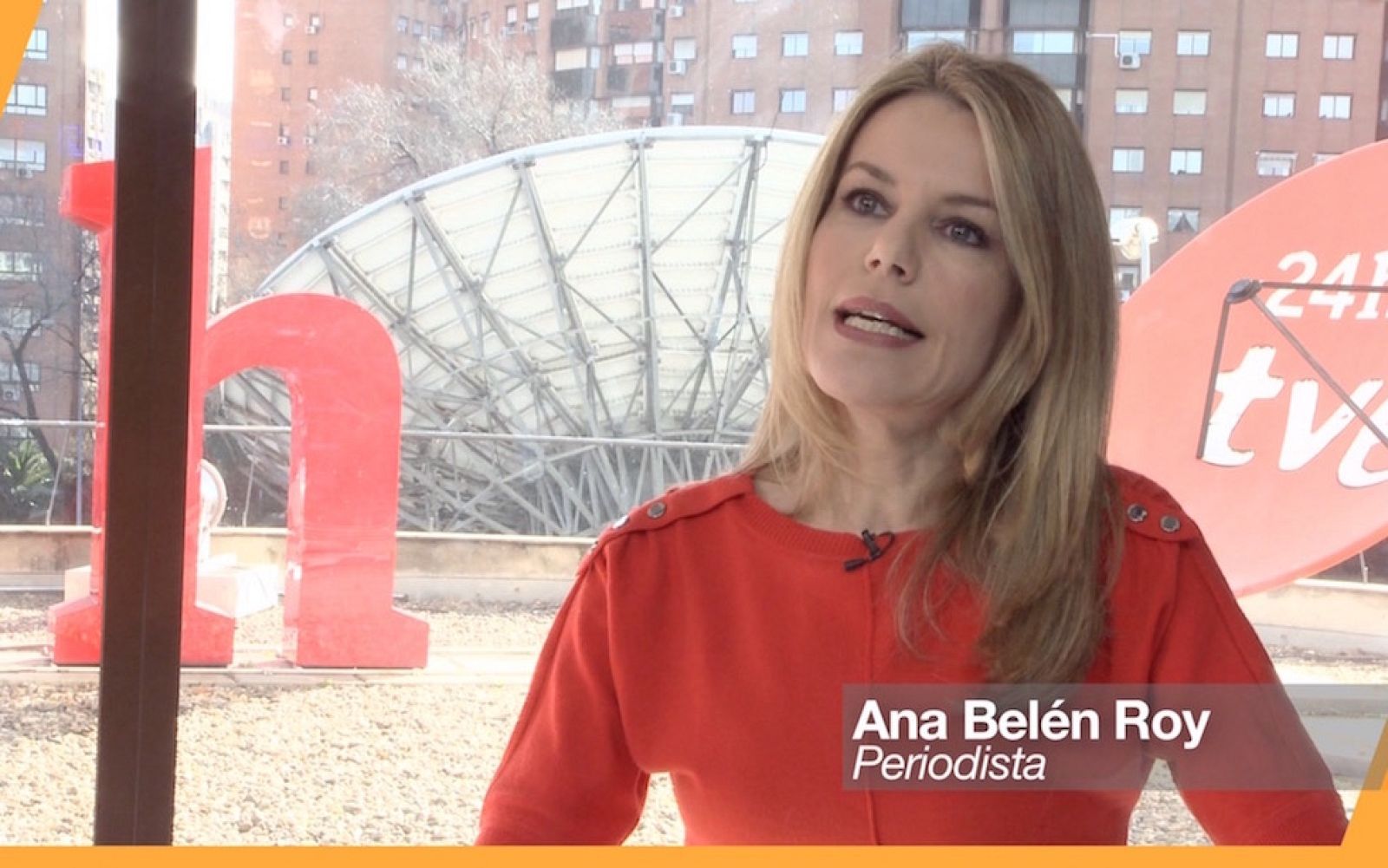 'Cuestionario' - Ana Belén Roy