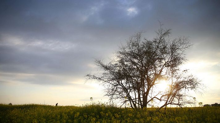 Informativo de Madrid - El Tiempo en la Comunidad de Madrid - 21/03/17